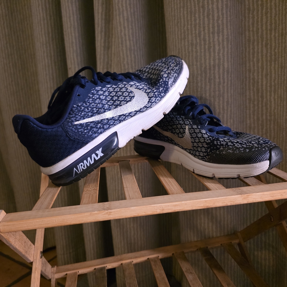 Nike Air Max Blue and White Athletic Shoes